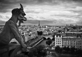  Paris from the Cathedral of Notre Dame 
