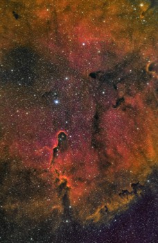  IC1396 Elephant Trunk Nebula in False Color 
