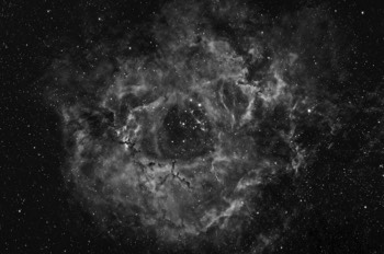  NGC2237 Rosette Nebula in Ha 