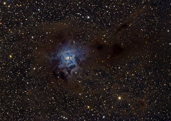  NGC7023 Iris Nebula 