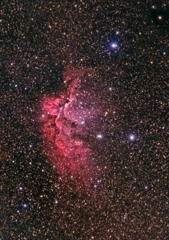  NGC7380 Wizard Nebula 